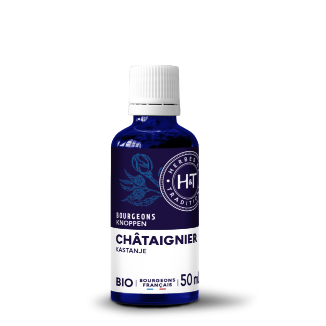 GEMMO MACÉRÂT - CHÂTAIGNIER...