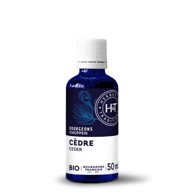 GEMMO MACÉRÂT - CÈDRE...