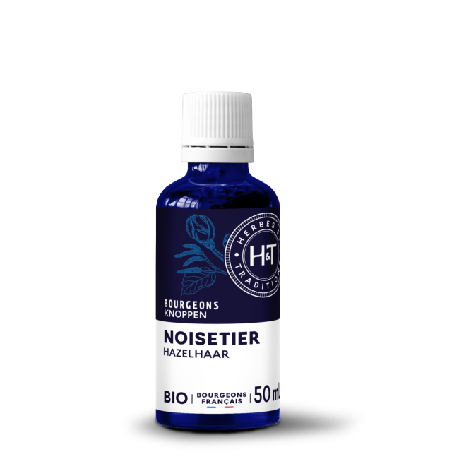 GEMMO MACÉRÂT - NOISETIER...