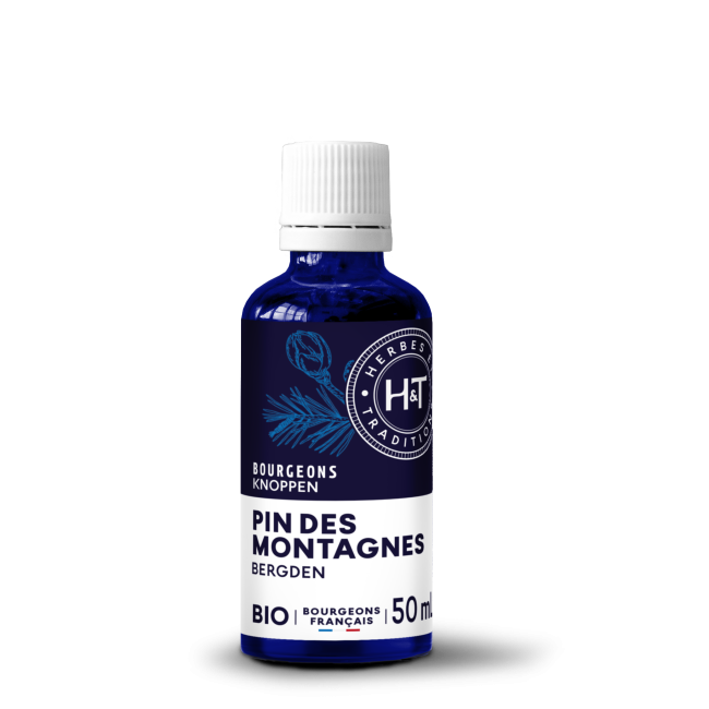 GEMMO MACÉRÂT - PIN DES...