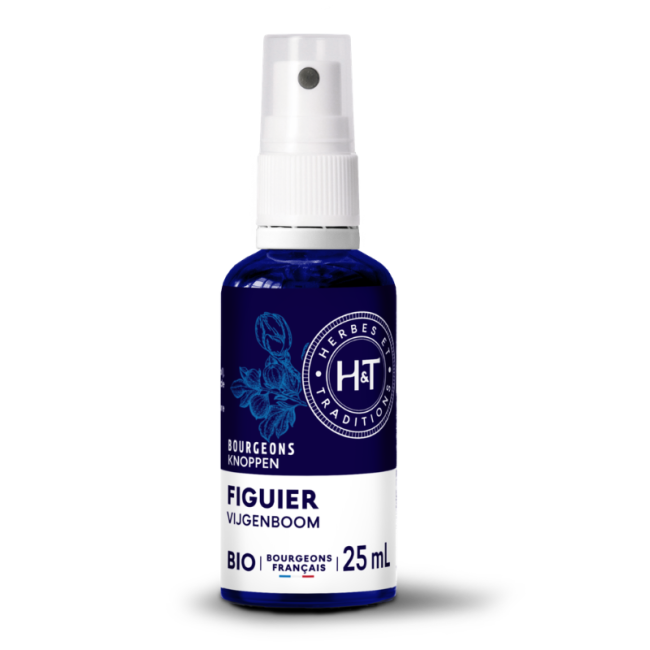 BOURGEONS DE FIGUIER BIO