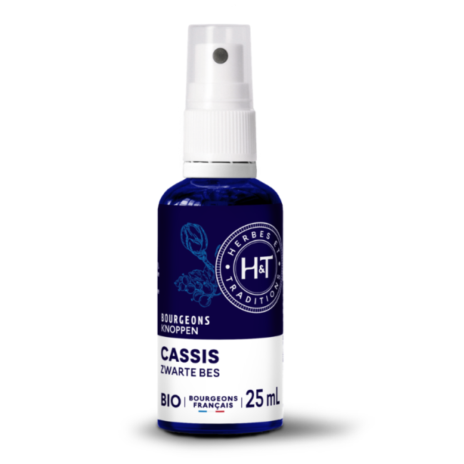 BOURGEONS DE CASSIS BIO