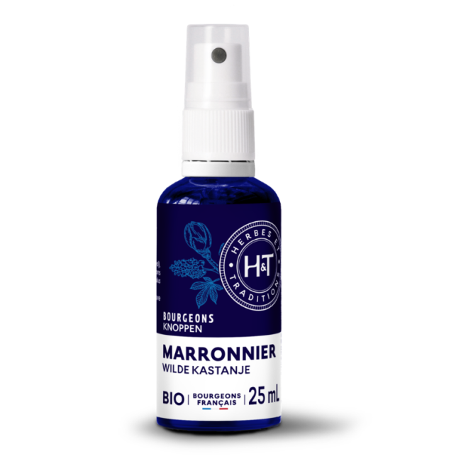 BOURGEONS DE MARRONNIER BIO