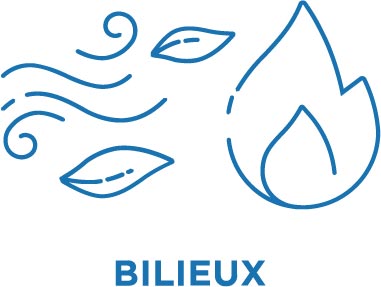 Bilieux