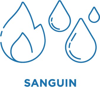 Sanguin