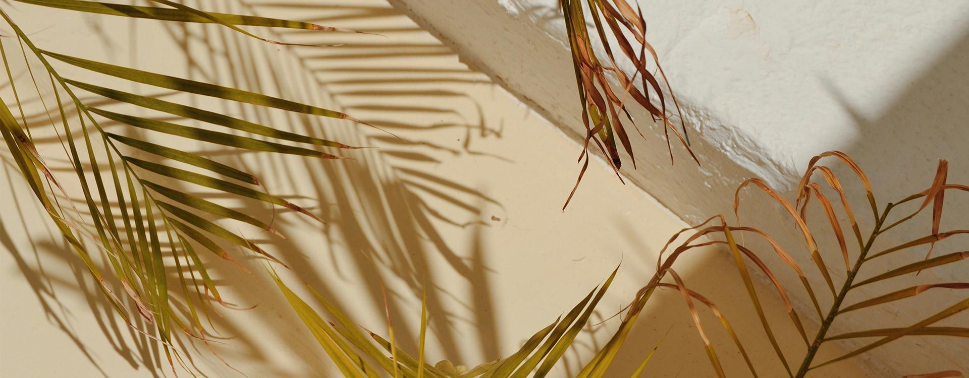 Préparer sa peau au soleil avec les huiles végétales
