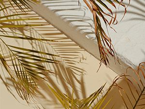 Préparer sa peau au soleil avec les huiles végétales