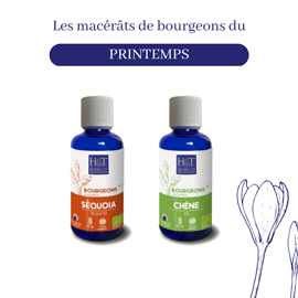 gemmothérapie-macerat-printemps